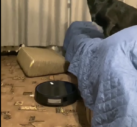 F550 отзыв Настя