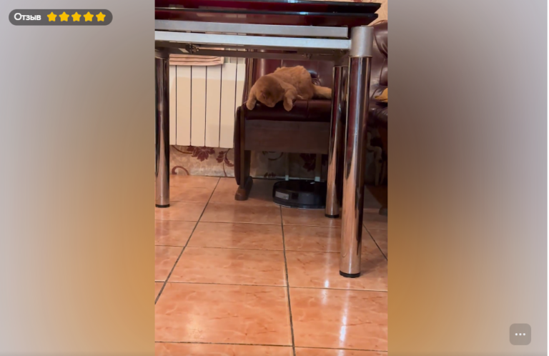 Отзыв 550. Бутова А. ОЗОН