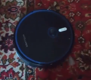 Отзыв 550. Ирина. Озон