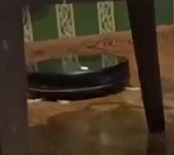 Отзыв F550. Елена К. OZON