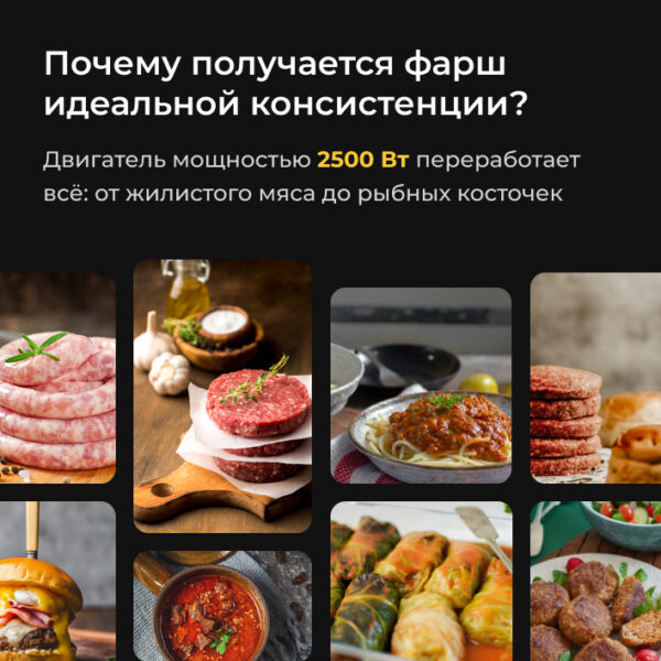 Мясорубка Wollmer M909 Monolith Profi — купить в официальном магазине ...