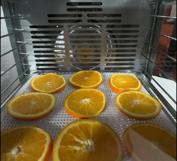 Дегидратор Jd500 Евгений