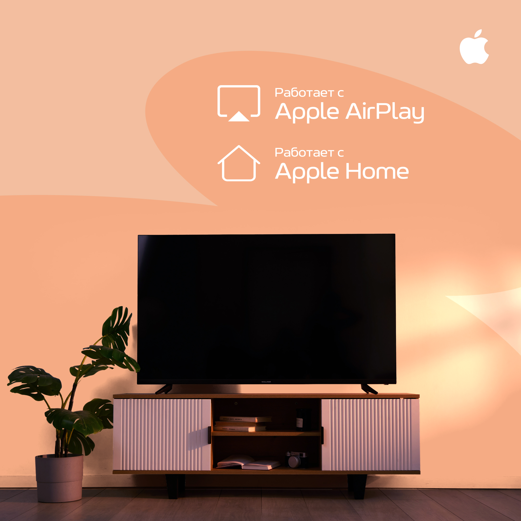 Телевизор Wollmer HL55 Onyx 4K UltraHD